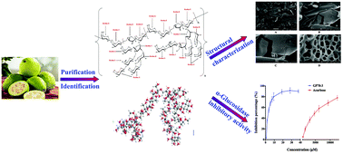 Graphical abstract: Characterization of a new heteropolysaccharide from green guava and its application as an α-glucosidase inhibitor for the treatment of type II diabetes