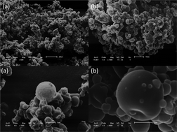 Graphical abstract: Development of a microparticulate system containing Brazilian propolis by-product and gelatine for ascorbic acid delivery: evaluation of intestinal cell viability and radical scavenging activity