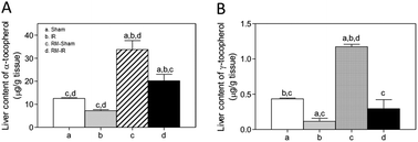 Graphical abstract: Anti-oxidative and anti-inflammatory effects of Rosa Mosqueta oil supplementation in rat liver ischemia-reperfusion