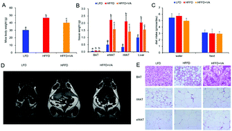 Graphical abstract: Vanillic acid activates thermogenesis in brown and white adipose tissue