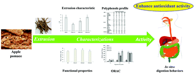 Graphical abstract: Extrusion of apple pomace increases antioxidant activity upon in vitro digestion