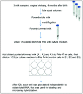 Graphical abstract: Impact of human milk on the transcriptomic response of fetal intestinal epithelial cells reveals expression changes of immune-related genes