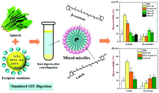 Graphical abstract: Enhancement of phytochemical bioaccessibility from plant-based foods using excipient emulsions: impact of lipid type on carotenoid solubilization from spinach