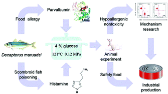 Graphical abstract: Reduction of the histamine content and immunoreactivity of parvalbumin in Decapterus maruadsi by a Maillard reaction combined with pressure treatment