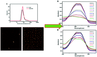 Graphical abstract: Enhanced pH and thermal stability, solubility and antioxidant activity of resveratrol by nanocomplexation with α-lactalbumin