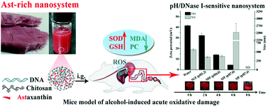 Graphical abstract: Water-dispersible astaxanthin-rich nanopowder: preparation, oral safety and antioxidant activity in vivo