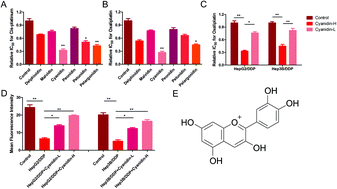 Graphical abstract: Cyanidin inhibits EMT induced by oxaliplatin via targeting the PDK1–PI3K/Akt signaling pathway