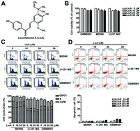 Graphical abstract: Licochalcone A inhibits the invasive potential of human glioma cells by targeting the MEK/ERK and ADAM9 signaling pathways