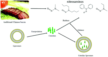 Graphical abstract: Effect of catechin liposomes on the nitrosamines and quality of traditional Chinese bacon
