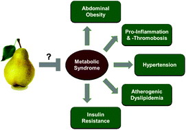 Graphical abstract: Influence of daily fresh pear consumption on biomarkers of cardiometabolic health in middle-aged/older adults with metabolic syndrome: a randomized controlled trial