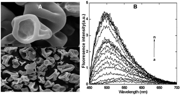 Graphical abstract: Nutraceutical protein isolate from pigeon pea (Cajanus cajan) milling waste by-product: functional aspects and digestibility