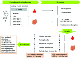 Graphical abstract: Low intake of digestible carbohydrates ameliorates the duodenal absorption of carbohydrates in mice with glucose metabolic disorders induced by sucralose