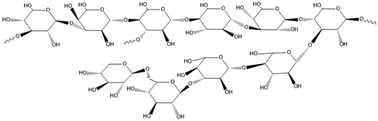 Graphical abstract: Water-soluble polysaccharides from Grifola Frondosa fruiting bodies protect against immunosuppression in cyclophosphamide-induced mice via JAK2/STAT3/SOCS signal transduction pathways