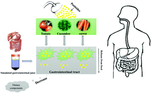 Graphical abstract: Interactions of food matrix and dietary components on neonicotinoid bioaccessibility in raw fruit and vegetables
