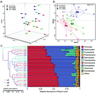 Graphical abstract: Dietary lysozyme supplementation contributes to enhanced intestinal functions and gut microflora of piglets