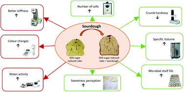 Graphical abstract: Sourdough technology as a novel approach to overcome quality losses in sugar-reduced cakes