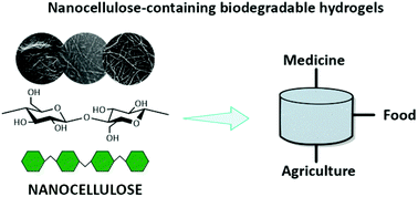 Graphical abstract: Nanocellulose nanocomposite hydrogels: technological and environmental issues