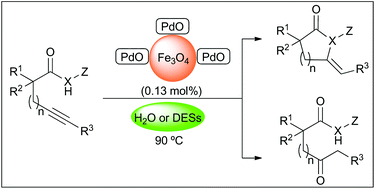 Graphical abstract: Impregnated palladium on magnetite as a water compatible catalyst for the cycloisomerization of alkynoic acid derivatives