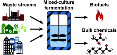 Graphical abstract: The environmental biorefinery: state-of-the-art on the production of hydrogen and value-added biomolecules in mixed-culture fermentation