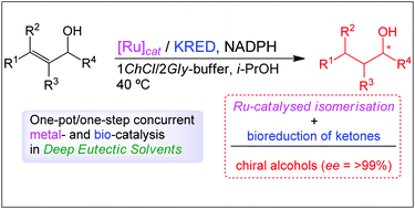 Graphical abstract: Programming cascade reactions interfacing biocatalysis with transition-metal catalysis in Deep Eutectic Solvents as biorenewable reaction media