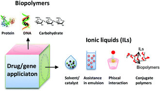 Graphical abstract: Ionic liquids for the preparation of biopolymer materials for drug/gene delivery: a review