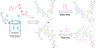 Graphical abstract: A one-pot biomimetic synthesis of selectively functionalized lignins from monomers: a green functionalization platform