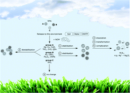 Graphical abstract: Changing environments and biomolecule coronas: consequences and challenges for the design of environmentally acceptable engineered nanoparticles