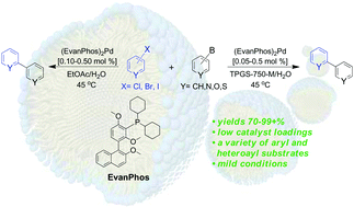 Graphical abstract: EvanPhos: a ligand for ppm level Pd-catalyzed Suzuki–Miyaura couplings in either organic solvent or water