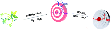 Graphical abstract: Preparation of valeric acid and valerate esters from biomass-derived levulinic acid using metal triflates + Pd/C