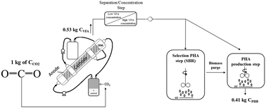 Graphical abstract: Bio-electrorecycling of carbon dioxide into bioplastics