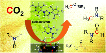 Graphical abstract: Transformative reduction of carbon dioxide through organocatalysis with silanes