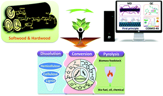 Graphical abstract: Recent progress in theoretical and computational studies on the utilization of lignocellulosic materials