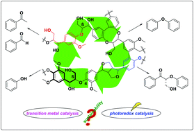 Graphical abstract: Transition metal- and photoredox-catalyzed valorisation of lignin subunits