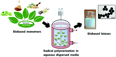 Graphical abstract: Radical polymerization of biobased monomers in aqueous dispersed media