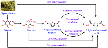 Graphical abstract: Production of 2,5-furandicarboxylic acid (FDCA) from 5-hydroxymethylfurfural (HMF): recent progress focusing on the chemical-catalytic routes