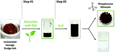 Graphical abstract: Deep eutectic solvents as extraction media for metal salts and oxides exemplarily shown for phosphates from incinerated sewage sludge ash