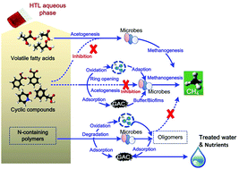 Graphical abstract: Anaerobic conversion of the hydrothermal liquefaction aqueous phase: fate of organics and intensification with granule activated carbon/ozone pretreatment