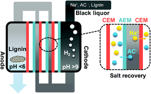 Graphical abstract: Microbial electrochemical treatment of biorefinery black liquor and resource recovery