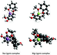 Graphical abstract: Kinetic understanding of the effect of Na and Mg on pyrolytic behavior of lignin using a distributed activation energy model and density functional theory modeling