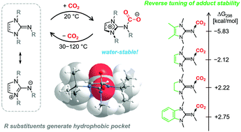 Graphical abstract: Reversible CO2 fixation by N-heterocyclic imines forming water-stable zwitterionic nitrogen-base–CO2 adducts