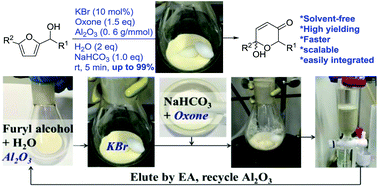 Graphical abstract: A solvent-free catalytic protocol for the Achmatowicz rearrangement