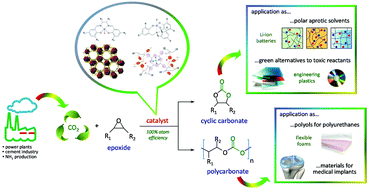 Graphical abstract: CO2-fixation into cyclic and polymeric carbonates: principles and applications