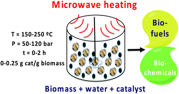 Graphical abstract: Production of bio-fuels and chemicals by microwave-assisted, catalytic, hydrothermal liquefaction (MAC-HTL) of a mixture of pine and spruce biomass
