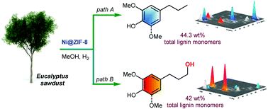 Graphical abstract: Chemodivergent hydrogenolysis of eucalyptus lignin with Ni@ZIF-8 catalyst