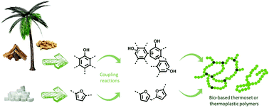 Graphical abstract: Biobased phenol and furan derivative coupling for the synthesis of functional monomers