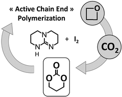 Graphical abstract: Metal-free synthesis of poly(trimethylene carbonate) by efficient valorization of carbon dioxide