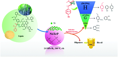 Graphical abstract: Selective depolymerization of lignin catalyzed by nickel supported on zirconium phosphate