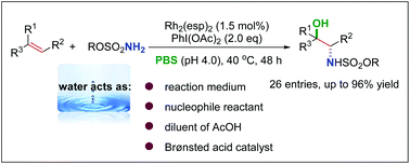Graphical abstract: Rhodium-catalyzed aminohydroxylation of unactivated alkenes in aqueous media for the benign synthesis of 1,2-amino alcohols