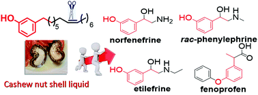 Graphical abstract: Synthesis of pharmaceutical drugs from cardanol derived from cashew nut shell liquid