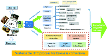 Graphical abstract: Characterization and utilization of aqueous products from hydrothermal conversion of biomass for bio-oil and hydro-char production: a review